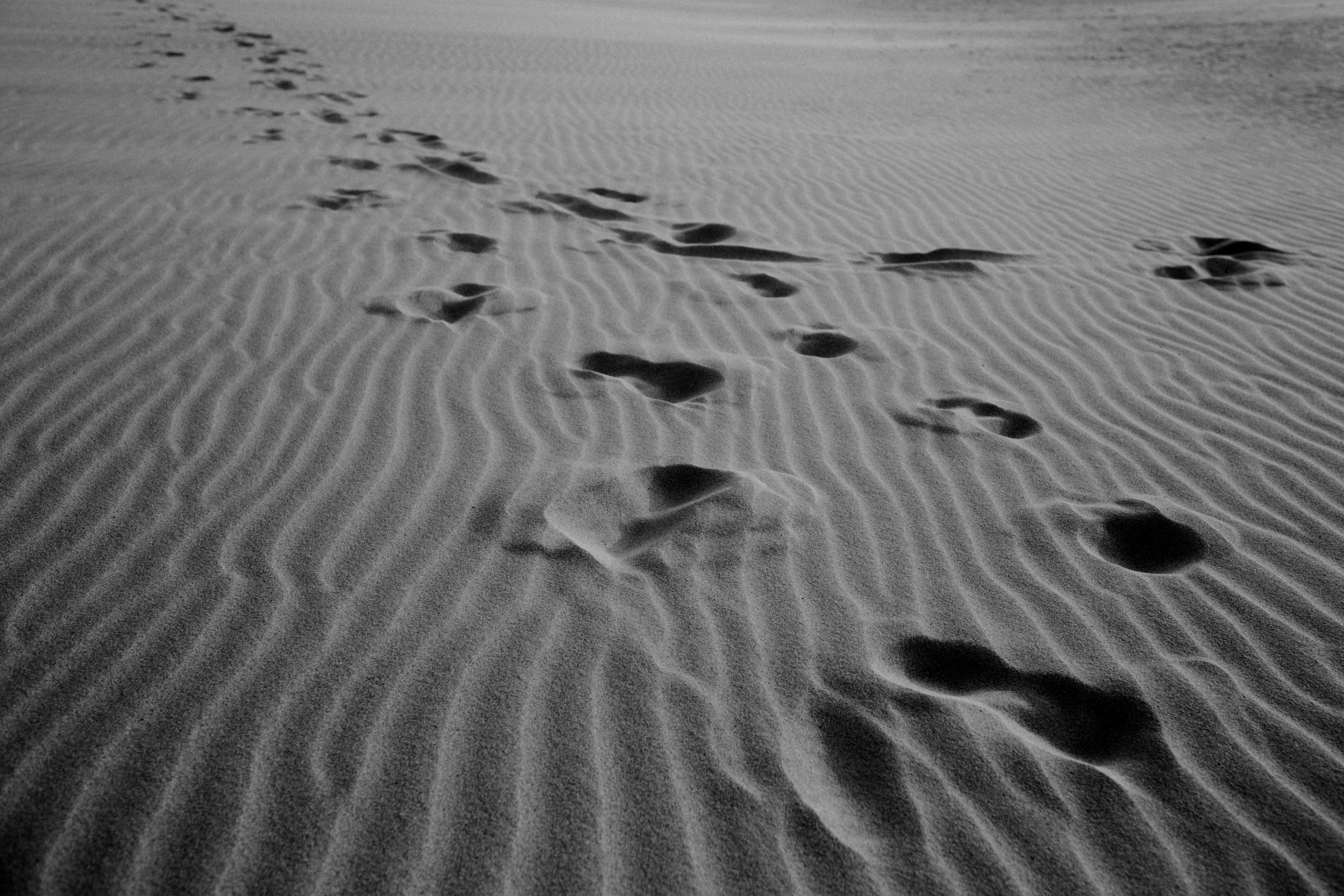 footprints on sand during daytime